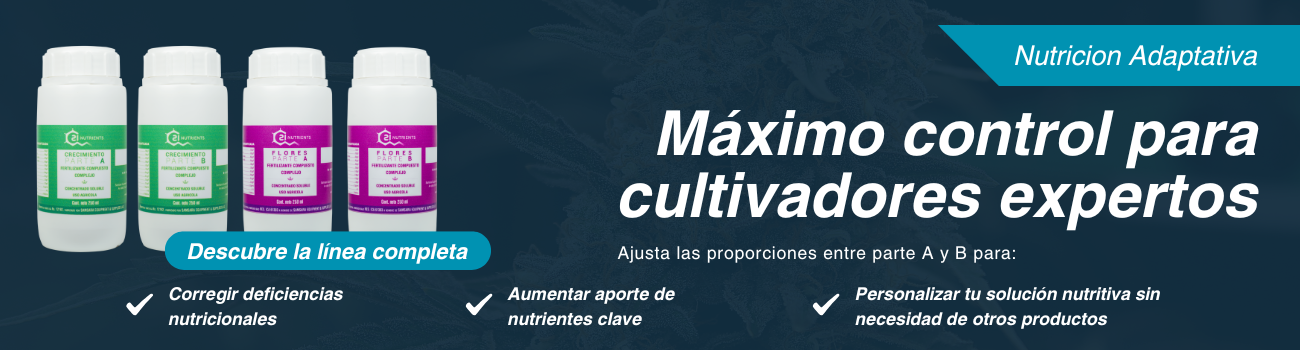 banner pagweb azul (1300 x 350 px)