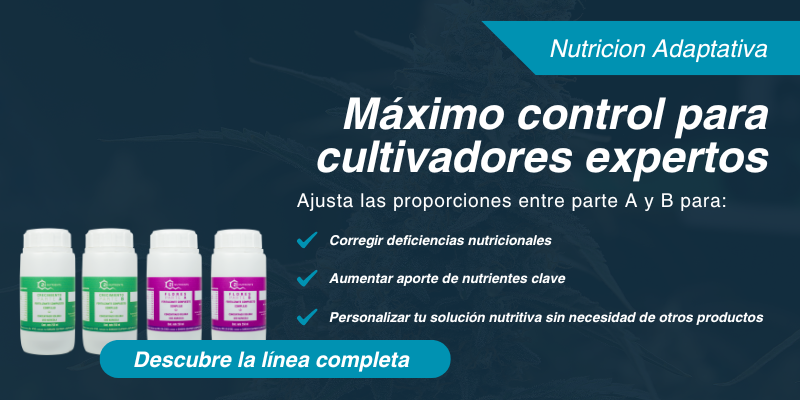 banner pagweb azul (800 x 400 px) (1)